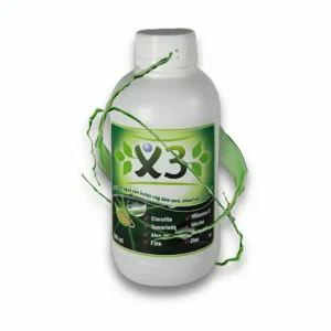 X3 - Energizante y antioxidante