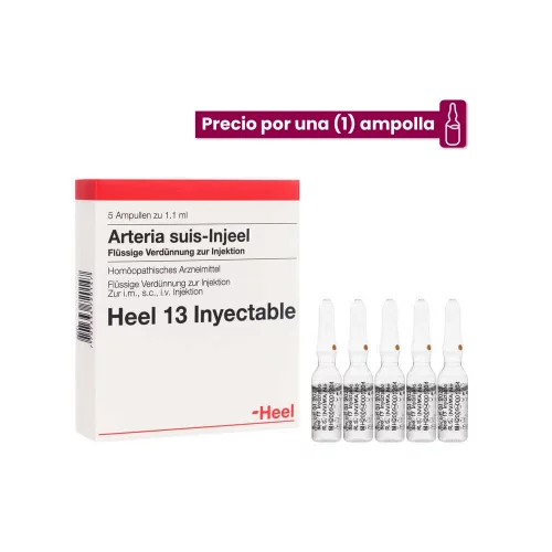 Arteria Suis Injeel Ampolla Medicamento Homeopático