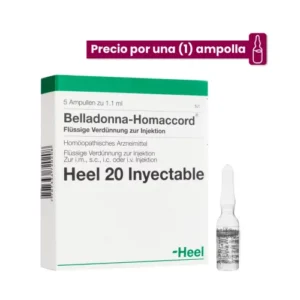 Belladona Homaccord Ampolla Medicamento Homeopático