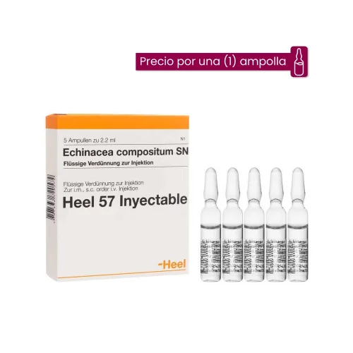 Echinacea Compositum ampolla Medicamento Homeopático