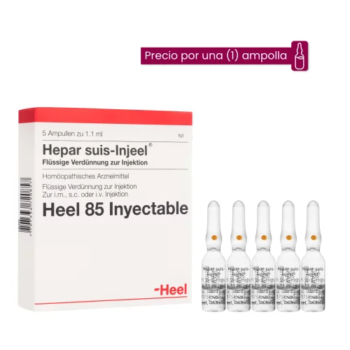 Hepar Suis Injeel Ampolla Medicamento Homeopático
