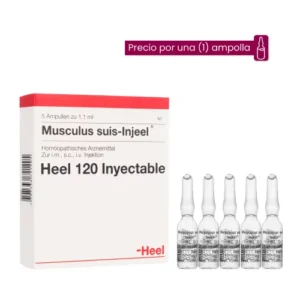 Musculus Suis Injeel Ampolla Medicamento Homeopático
