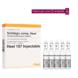 Solidago Compositum Ampolla Medicamento Homeopático