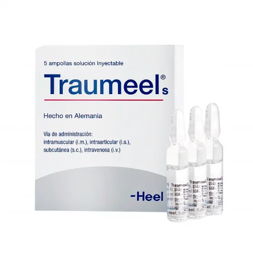 Traumeel S ampolla Medicamento Homeopático